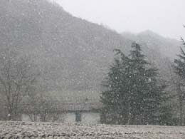 foto nevicata del 26 Gennaio 2005
